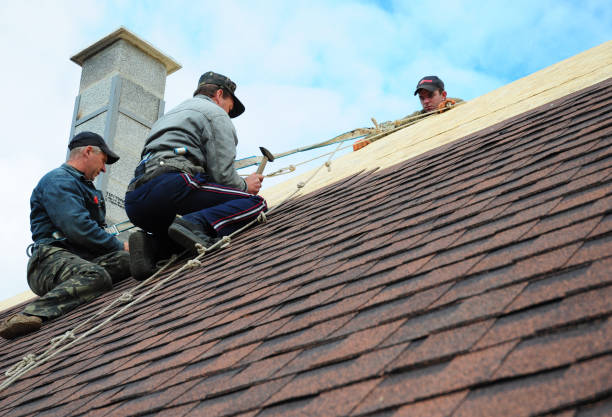 Best Metal Roofing Contractor  in Greenville, RI